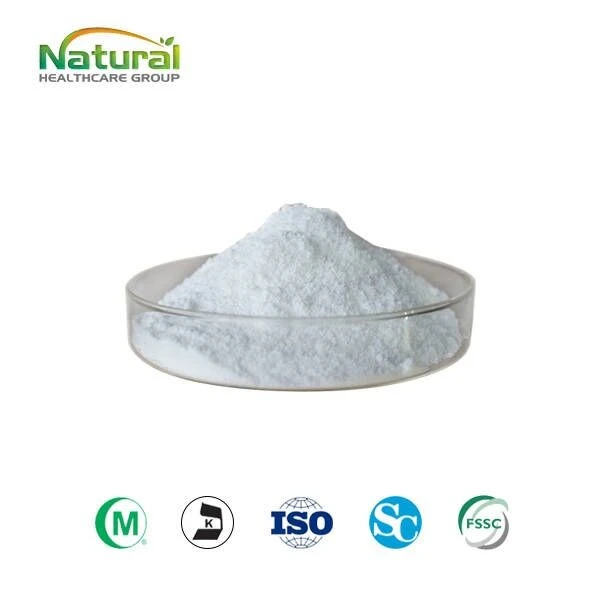 Citicoline Sodium Powder